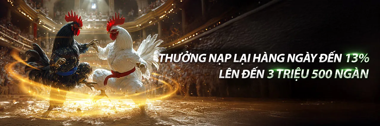 Hình ảnh tổng quan về nền tảng 0k9